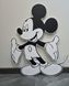 PVC007 645138496532 foto 2