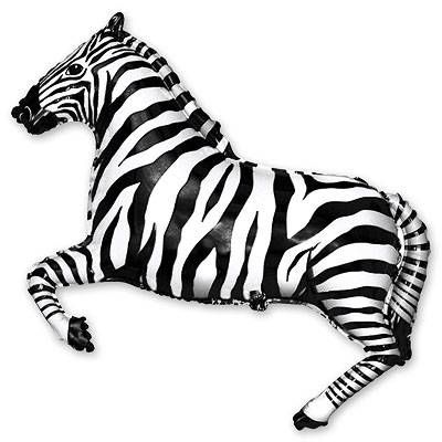 Zebra 3456789964546 фото