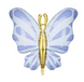 Fluture Albastru 23348777 foto