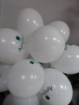 DC4006 48461335611255 foto