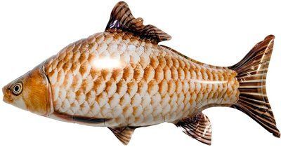 Peste Carp 9876543212345665 foto